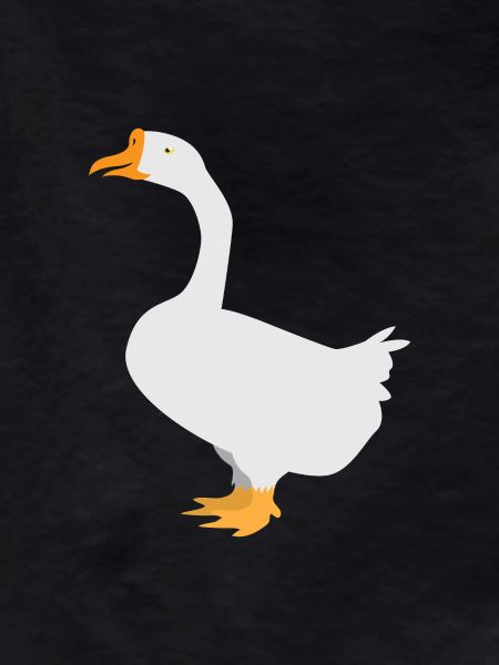 White goose standing