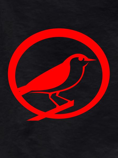 bird