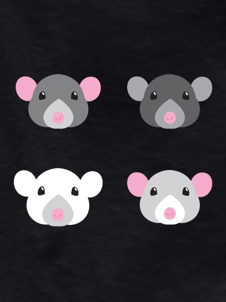 four mice rat faces