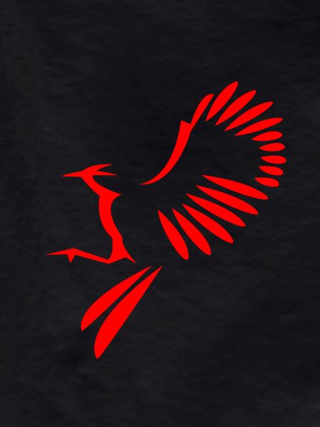 Bird illustration