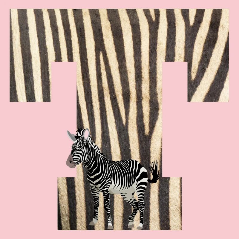 zebra t