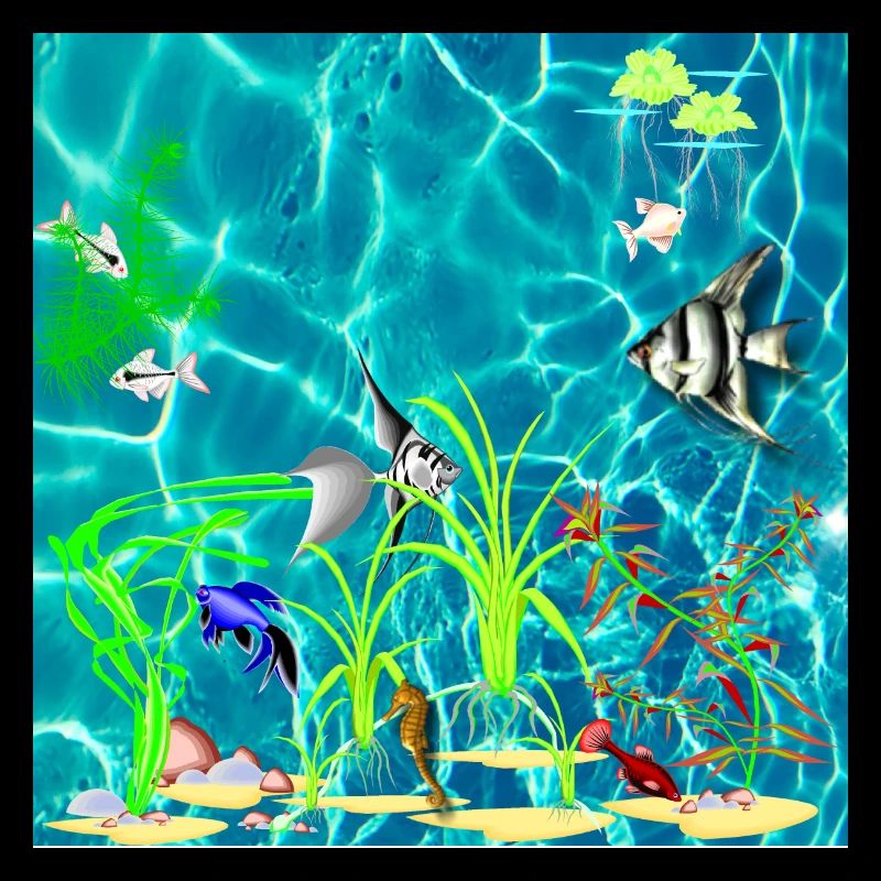 Tropical Fish Tank
