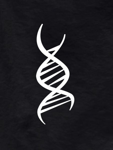 DNA