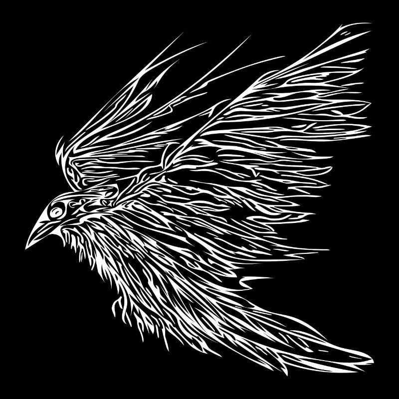 Corbeau volant