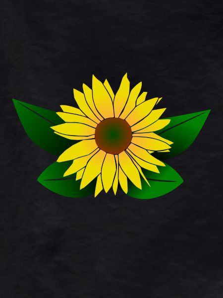 Sunflower, sunflower