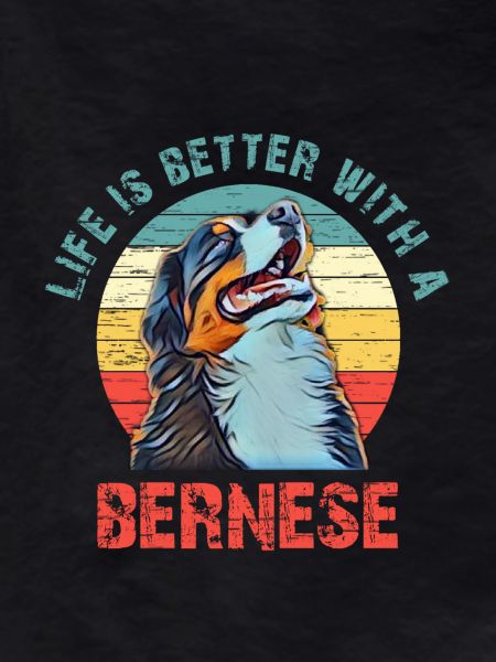 Bernese mountain dog
