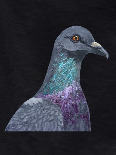 Colombe