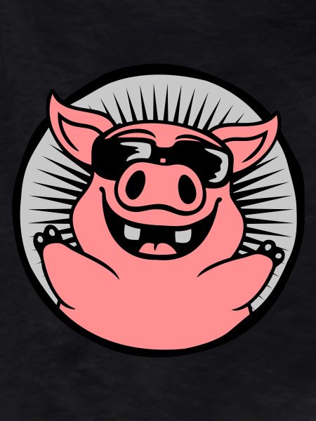 Circle Cool Sunglasses Pig
