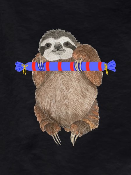 Sloth with gift