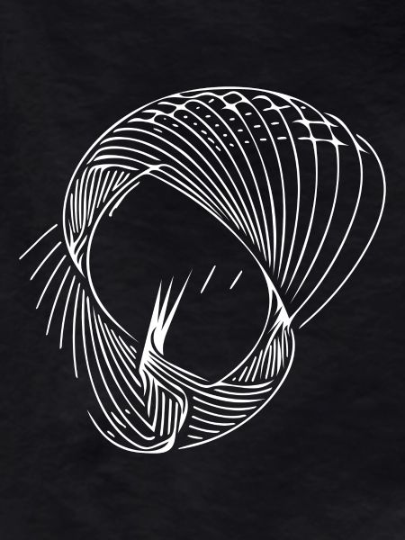 Geometric circle lines