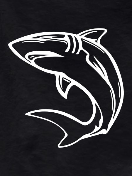 Elegant deep-sea shark