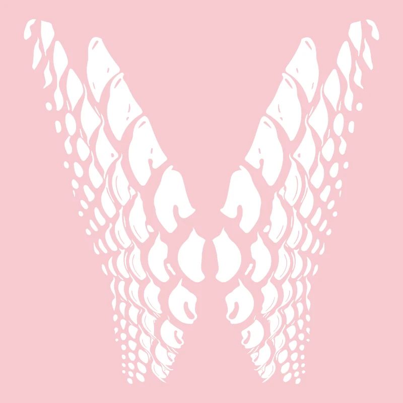 Geometric points in wing shape