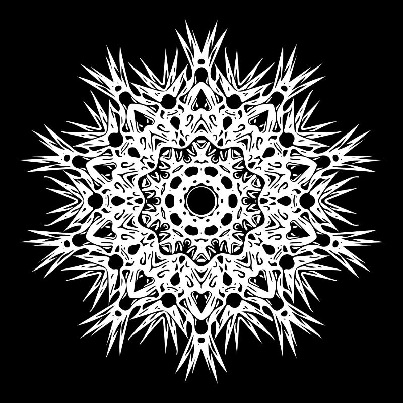Lignes géométriques forme mandala