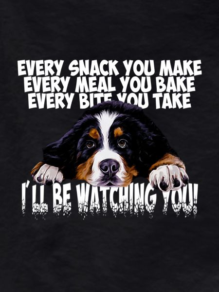 Bernese mountain dog