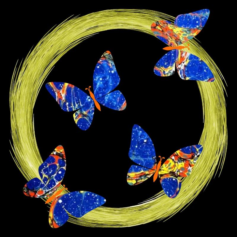 papillons e 273