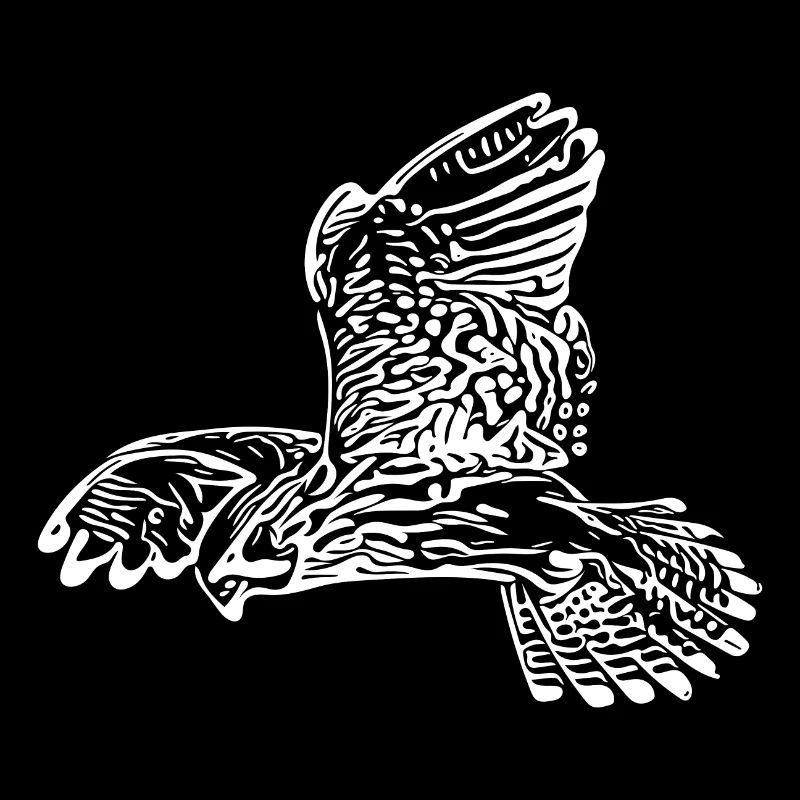 Faucon élégant avec des ailes en vol vibrant
