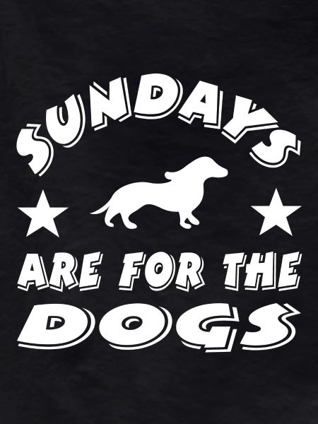 Dachshund