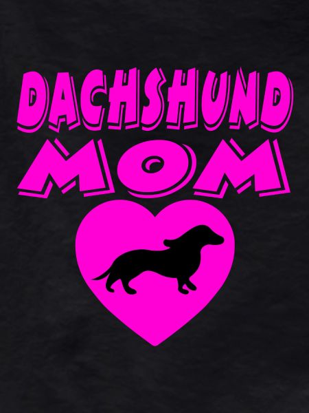 Dachshund