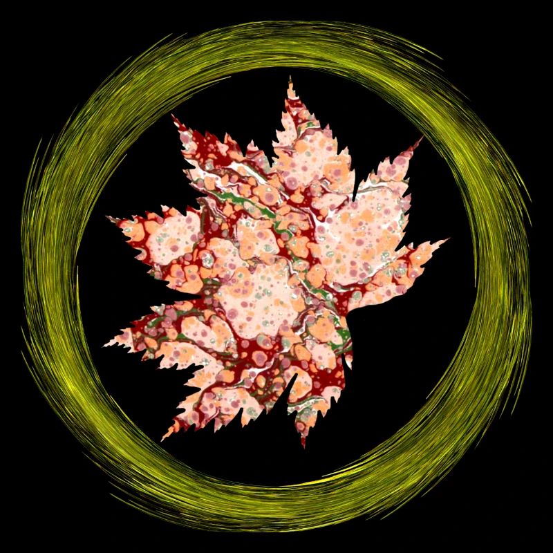 Feuille d’automne E 214