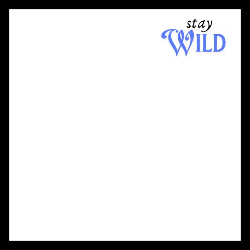 Stay wild