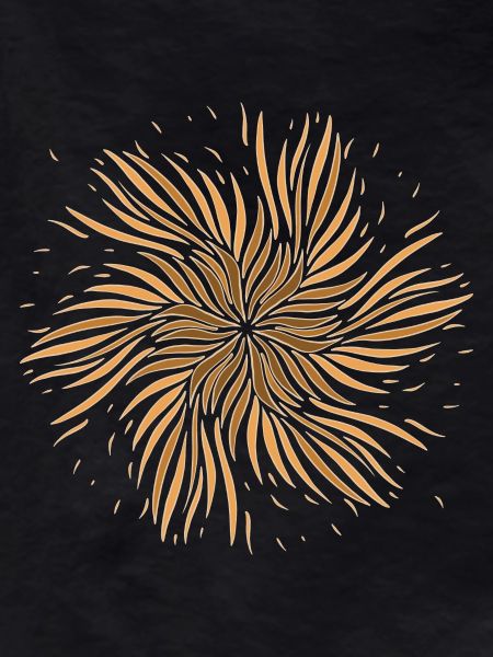Sun Feather