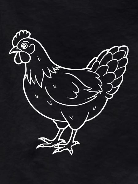 Simple Chicken - Line Drawing