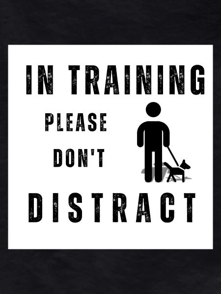 Dog training