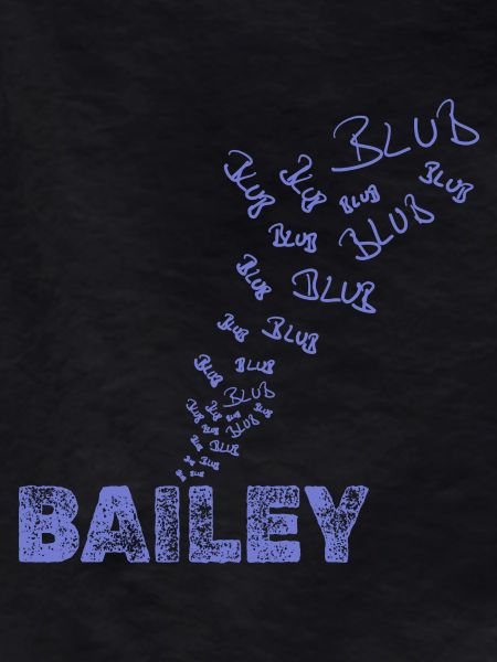 Sailing Bailey