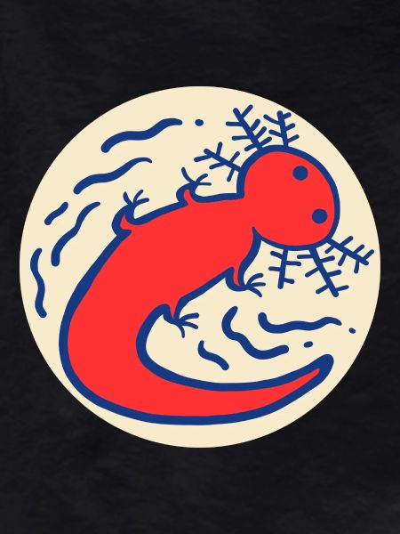 Logo Axolotl