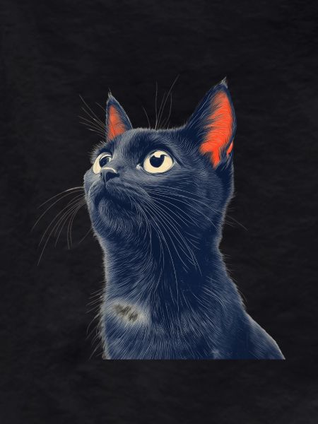 Cute Black Cat