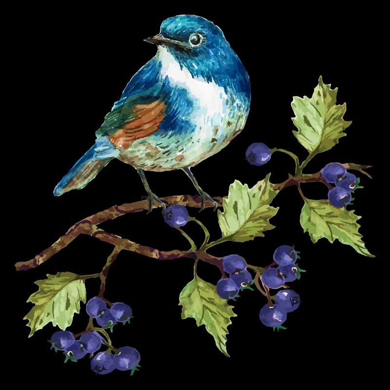 Colorful bird