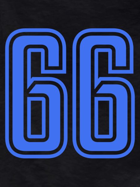 66