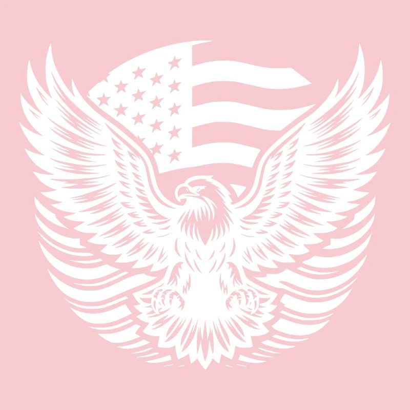 USA flag and eagle with spread claws