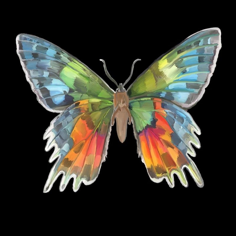 Schmetterling