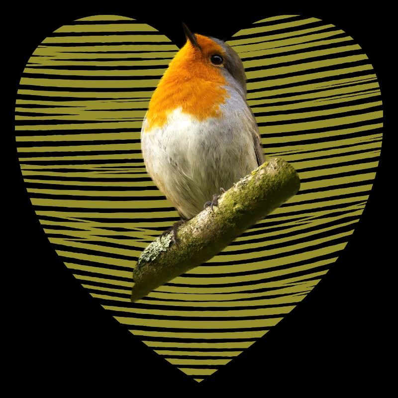Oiseau rouge-gorge