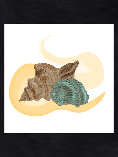Sea conch