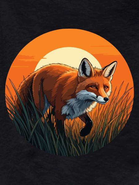 Fox at sunset