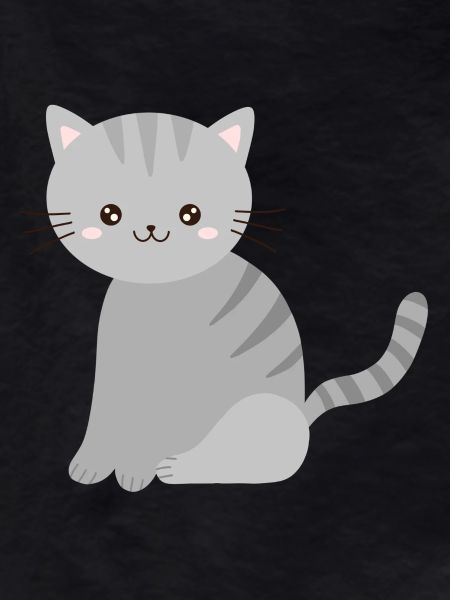 cute grey cat