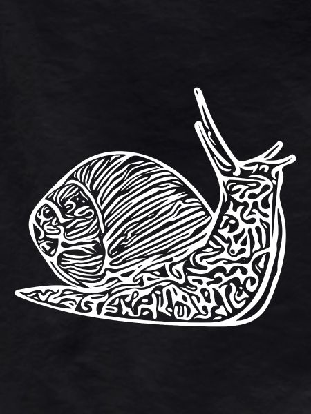 Cute Snail with House