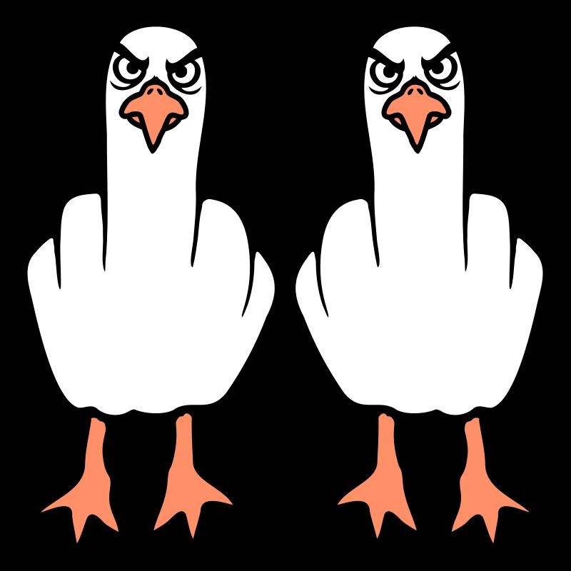 2 Möwen Mittelfinger Beleidigung Stinkefinger Team
