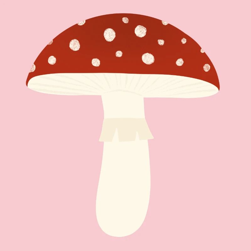 Toadstool Fly Agaric Mushroom