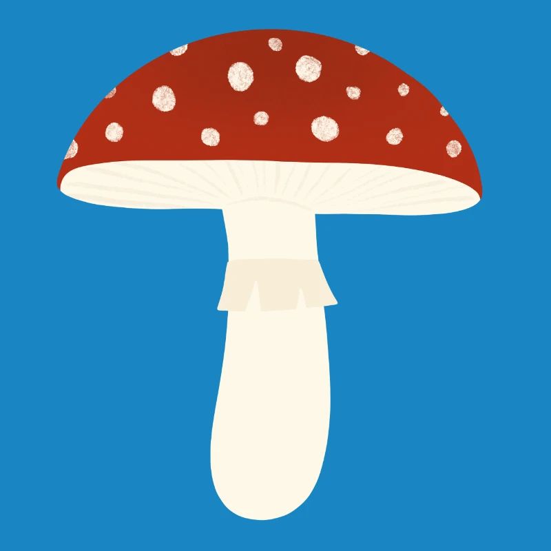 Toadstool Fly Agaric Mushroom