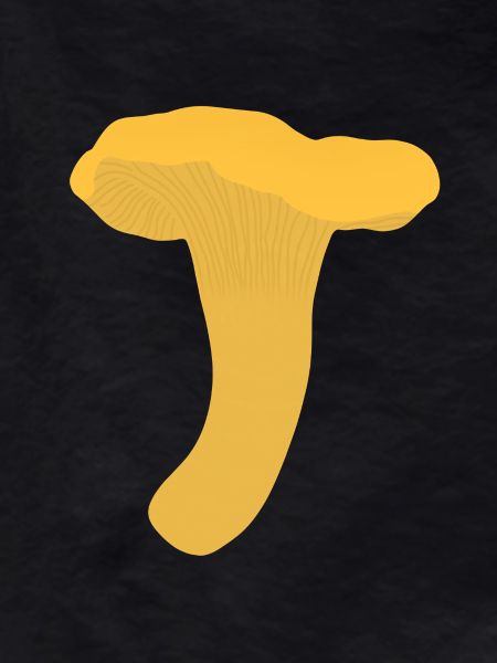Girolles