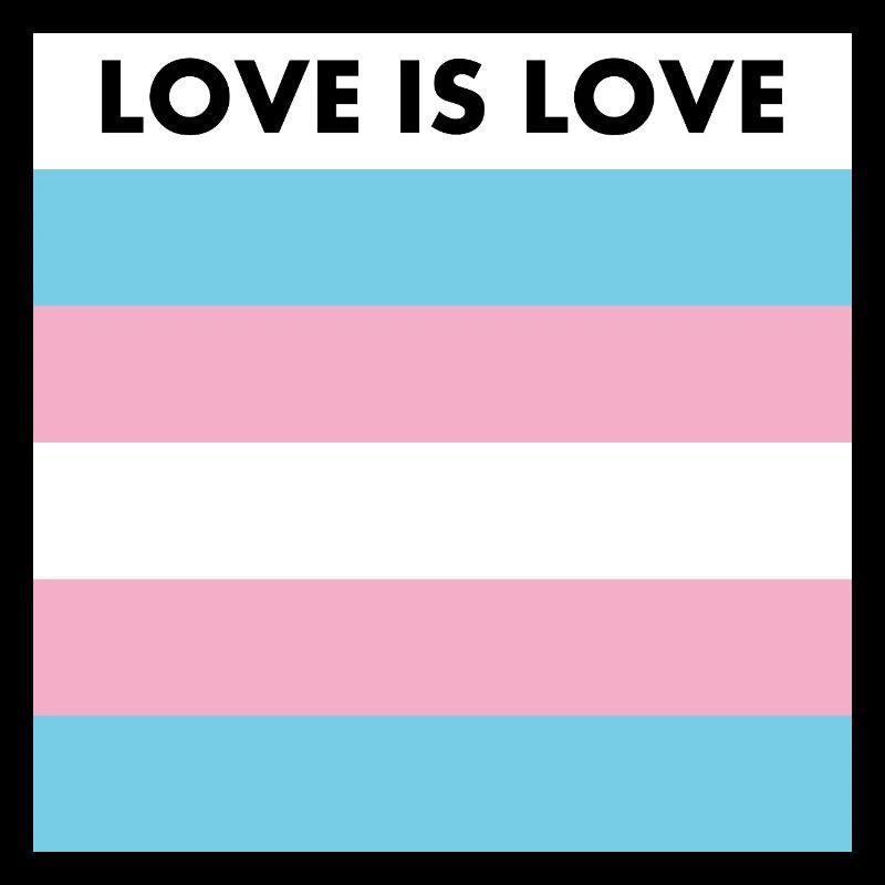Drapeau LOVE IS LOVE TRANS