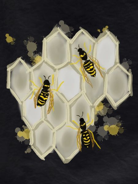 Wasps