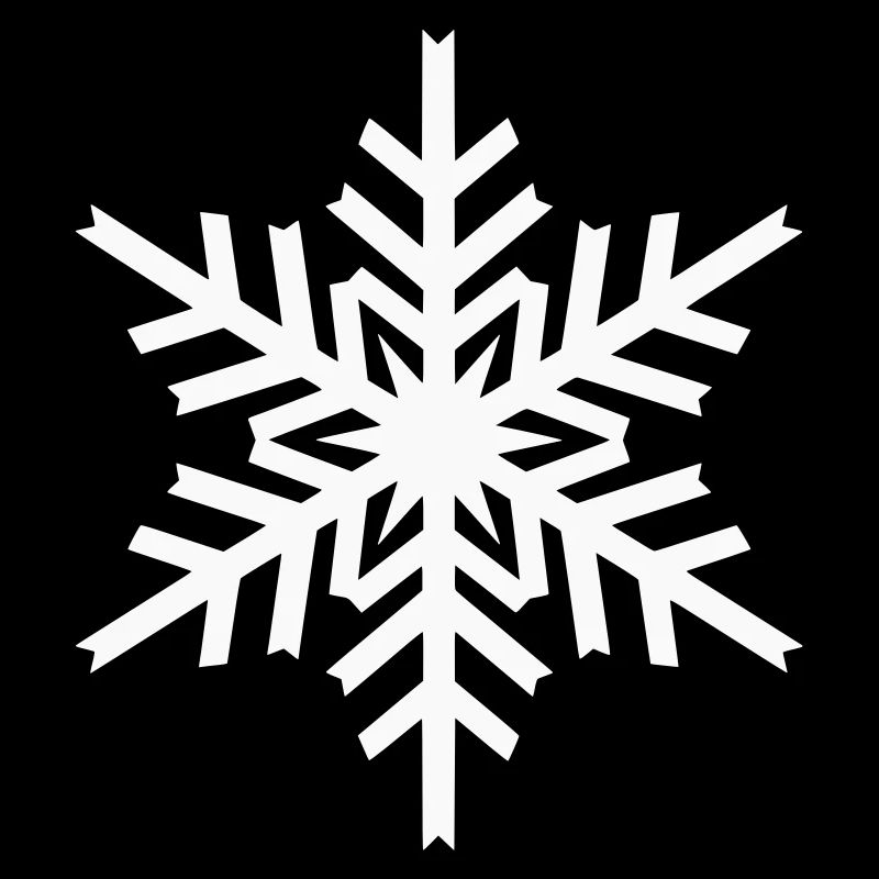 Geometric Snowflake