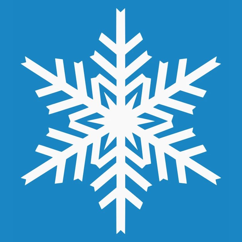 Geometric Snowflake