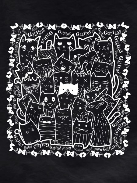 V1B Cats