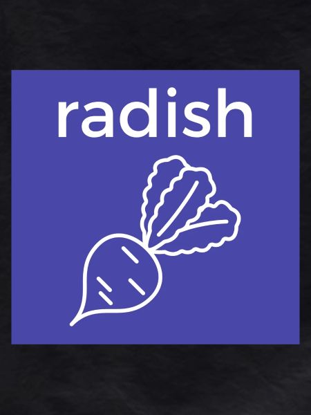 Radish line style on blue