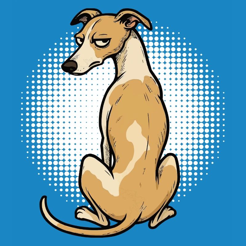 Whippet Greyhound Whippets Propriétaire de lévrier